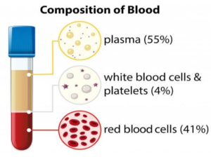 Composition of blood