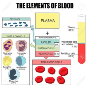 Elements of Blood 